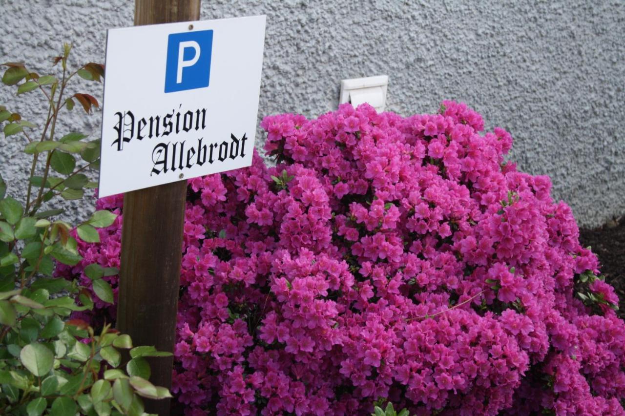 לנסטאט Pension / Ferienwohnung Allebrodt מראה חיצוני תמונה